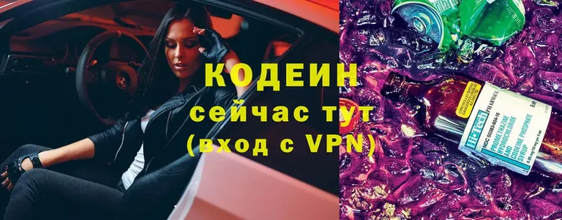 маркетплейс формула  купить наркотики цена  omg зеркало  Шадринск  Кодеин Purple Drank 