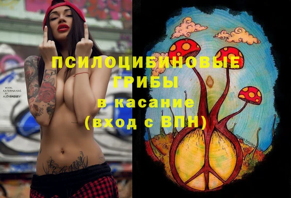 МДПВ Лихославль