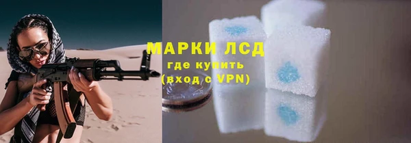 твердый Майский