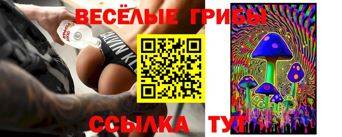 Псилоцибиновые грибы мицелий  Шадринск  Псилоцибиновые грибы Cubensis 