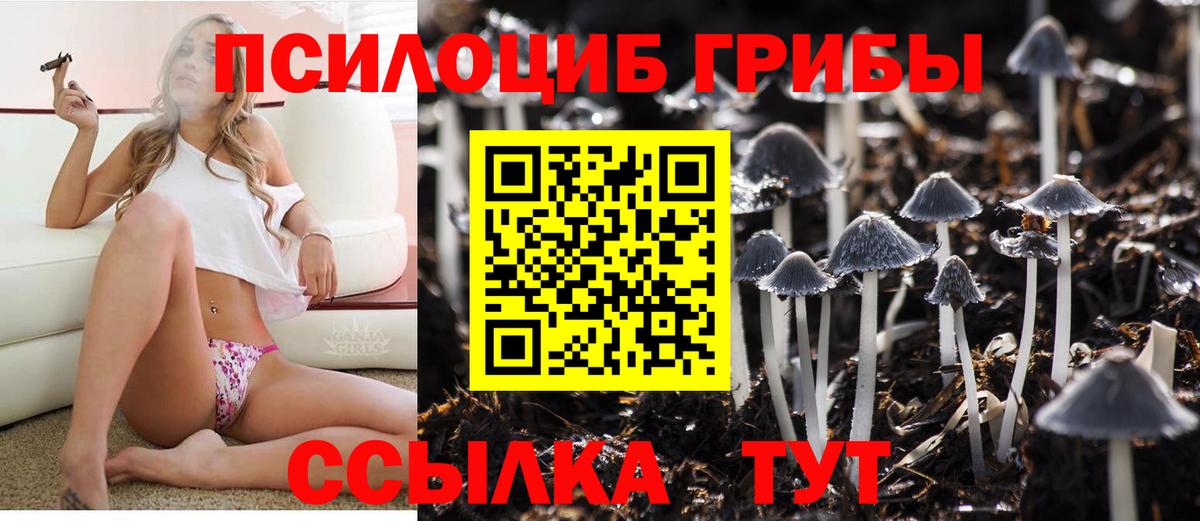 Галлюциногенные грибы мухоморы Шадринск