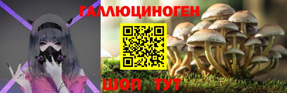 Шадринск  Галлюциногенные грибы Magic Shrooms  где купить наркоту  Вход с VPN 